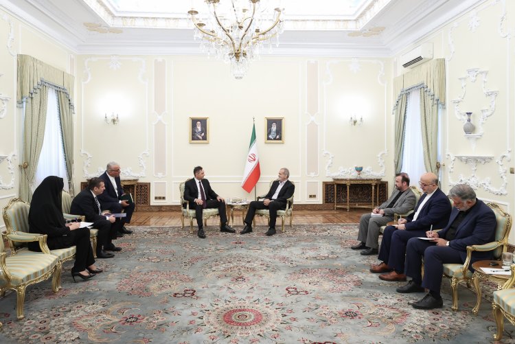 دکتر پزشکیان: صربستان دوست روزهای سخت ایران بوده و برای ارتقای هر چه بیشتر روابط تلاش خواهیم کرد/ معاون نخست وزیر صربستان: هرگز به سیاست‌ها و اقدامات کشورهای اروپایی در راستای ترویج ایران‌هراسی نپیوستیم
