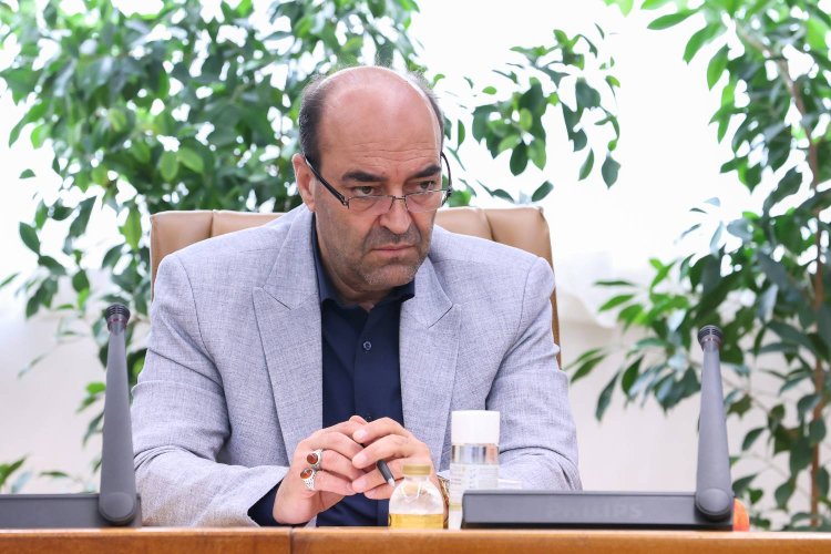 انتصاب بهرام داوری به سمت مشاور معاون اجرایی رئیس جمهور و سرپرست نهاد
