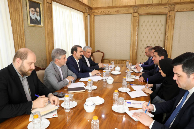 دیدار دستیار رئیس جمهور آذربایجان با دکتر سنایی