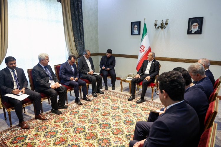 توسعه روابط علمی، فرهنگی و اقتصادی موجب تحکیم بیشتر پیوندها خواهد شد/ ایران آماده همکاری برای رفع اختلافات پاکستان و افغانستان است