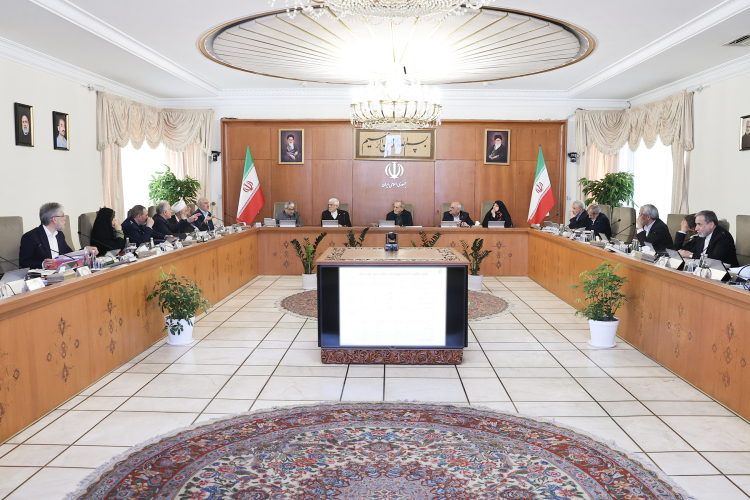 گزارش وزیر امور خارجه از روند مذاکرات اخیر/ تشریح آخرین وضعیت تأمین دارو و تجهیزات پزشکی توسط وزیر بهداشت
