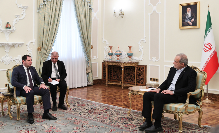 دیدار وزیر دفاع ارمنستان با رئیس جمهور