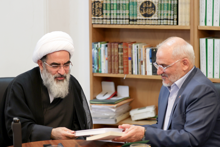 دیدار رئیس دفتر رئیس جمهور با آیت‌الله فاضل