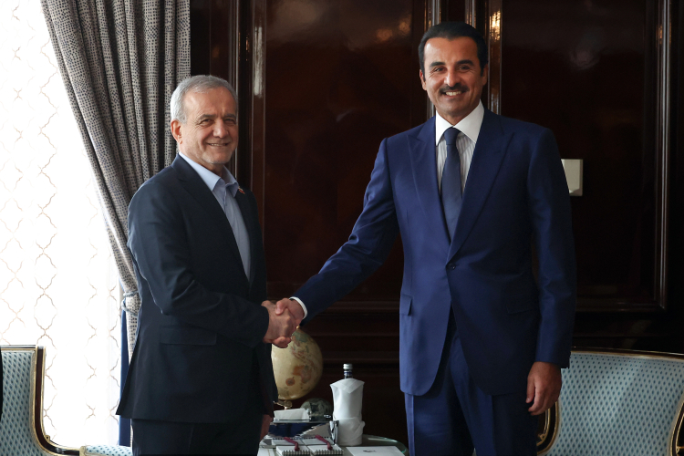 دیدار امیر قطر با رییس جمهور