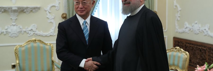 دیدار مدیرکل آژانس بین‌المللی انرژی اتمی