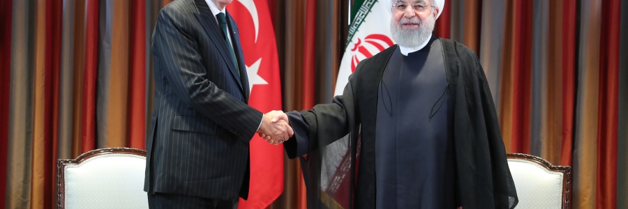 دکتر روحانی در دیدار رییس جمهور ترکیه
