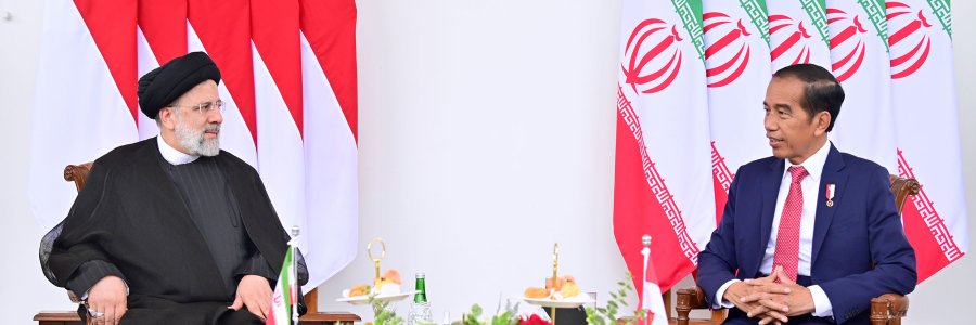 دیدار رئیس جمهور اندونزی با دکتر رئیسی