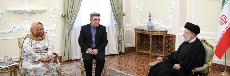 دیدار وزیر همکاری‌های بین‌المللی آفریقای جنوبی با رئیس جمهور