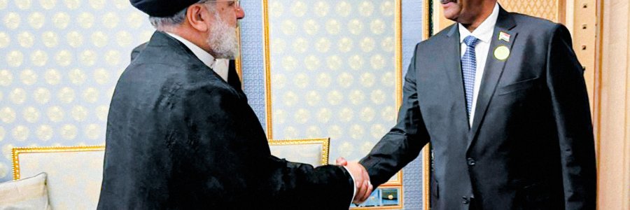 دیدار رئیس شورای حکومتی سودان با رئیس جمهور