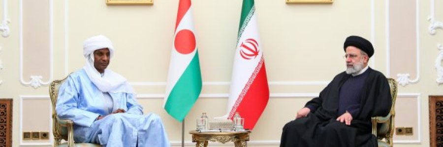 دیدار نخست وزیر نیجر با رئیس جمهور