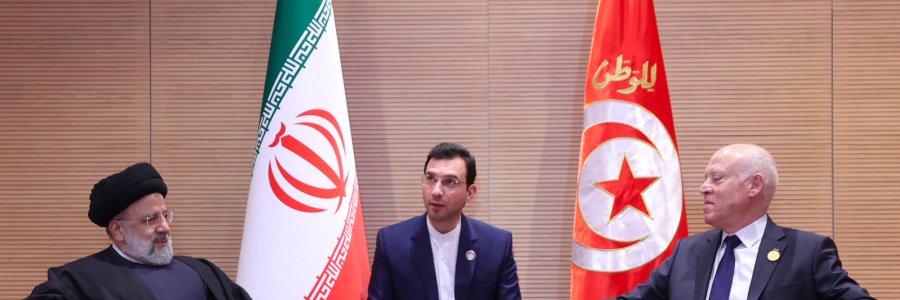 دیدار روسای جمهور ایران و تونس