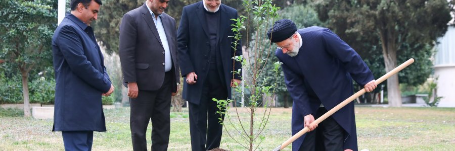 مراسم روز درختکاری