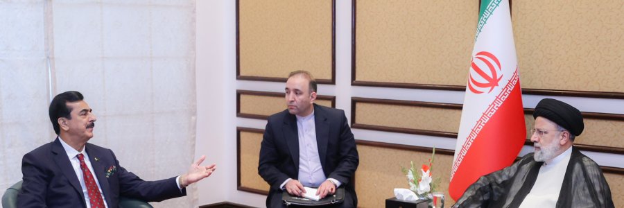 دیدار بارئیس مجلس سنای پاکستان