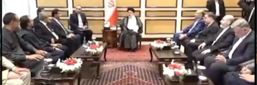 دیدار  رئیس مجلس سنای پاکستان با رئیس‌جمهور