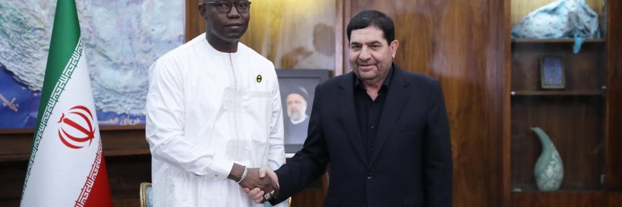 دیدار رئیس مجلس ملی مالی با سرپرست ریاست جمهوری
