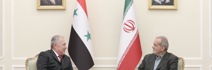 دیدار نخست وزیر سوریه با رئیس جمهور