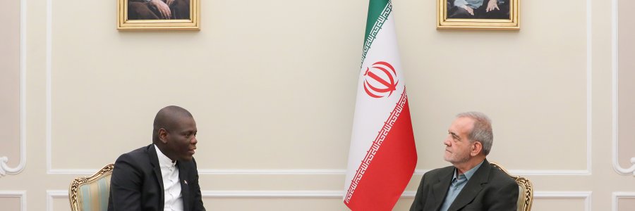 دیدار وزیر همکاری‌های بین‌المللی آفریقای جنوبی با رئیس جمهور  