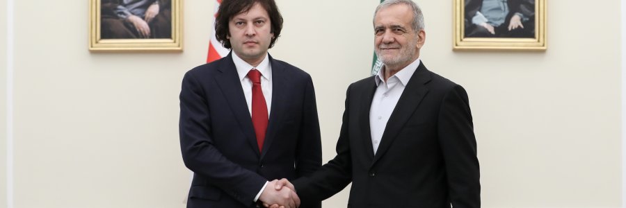 دیدار نخست وزیر گرجستان با رئیس جمهور