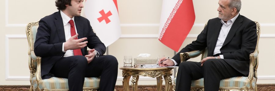 دیدار نخست وزیر گرجستان با رئیس جمهور