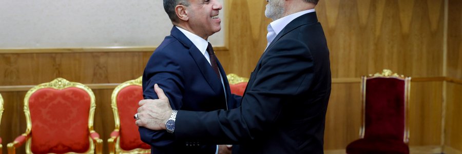 دیدار وزیر خارجه مصر با رئیس جمهور
