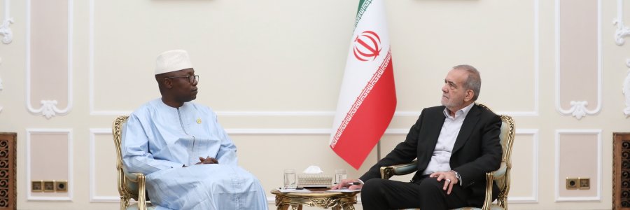 دیدار رئیس مجلس مالی با رئیس جمهور