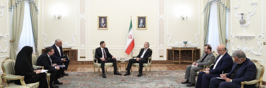 دکتر پزشکیان: صربستان دوست روزهای سخت ایران بوده و برای ارتقای هر چه بیشتر روابط تلاش خواهیم کرد/ معاون نخست وزیر صربستان: هرگز به سیاست‌ها و اقدامات کشورهای اروپایی در راستای ترویج ایران‌هراسی نپیوستیم

