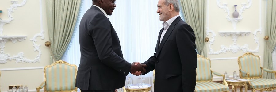 دیدار معاون رییس جمهور زیمباوه با رییس جمهور