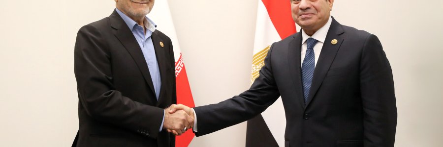 دیدار رئیس جمهور مصر