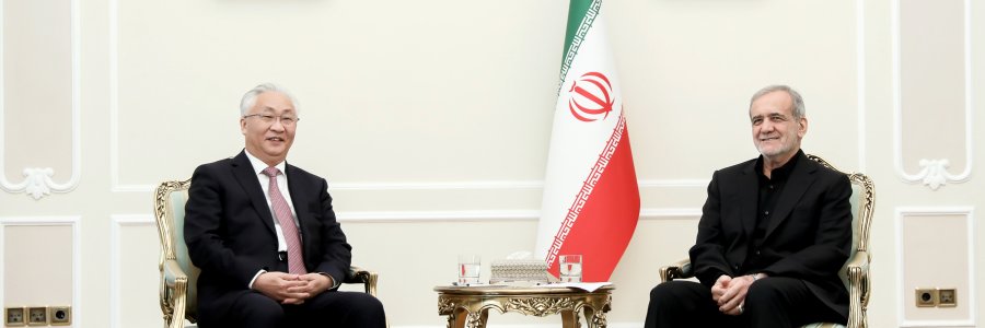 دیدار معاون نخست وزیر چین با رئیس‌جمهور