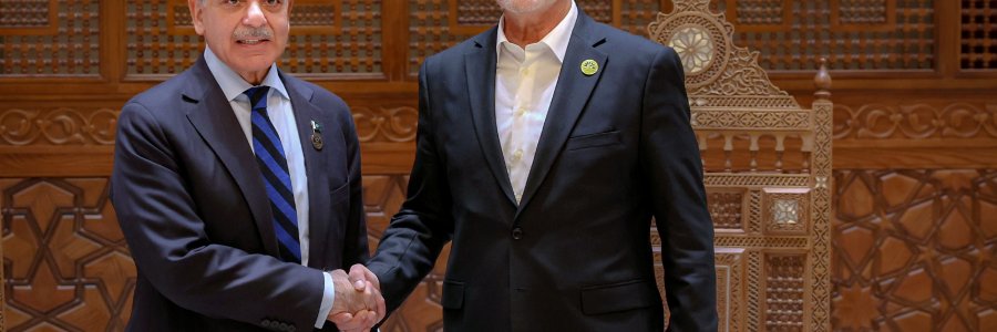 دیدار نخست وزیر پاکستان با رئیس جمهور