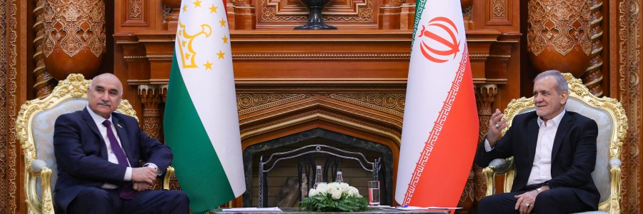 دیدار رئیس مجلس نمایندگان تاجیکستان با رئیس جمهور