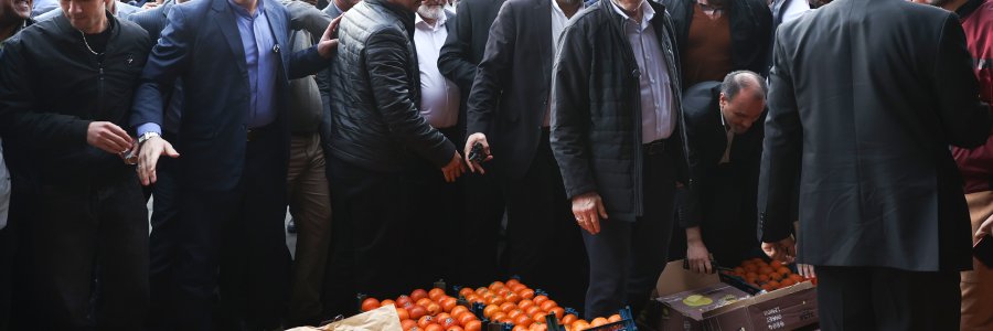 بازدید از میدان میوه و تره بار