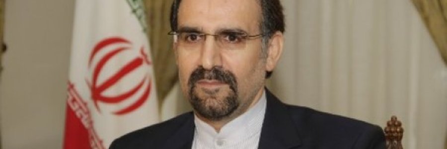 توضیحات دکتر سنایی درباره محورهای گفتگوی دکتر پزشکیان و وزیر خارجه روسیه