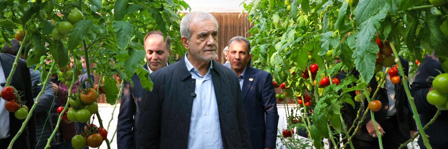 بازدید از گلخانه مکانیزه ورامین