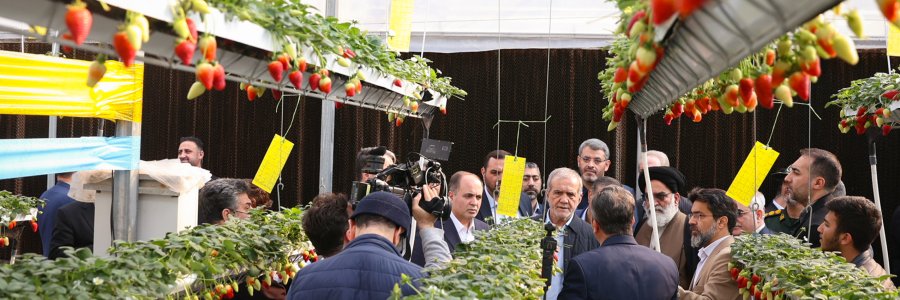 بازدید رئیس جمهور از گلخانه مکانیزه ورامین
