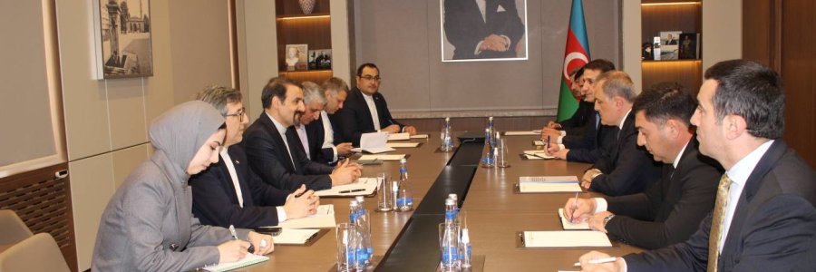 ملاقات دکتر سنایی با وزیر امور خارجه جمهوری آذربایجان