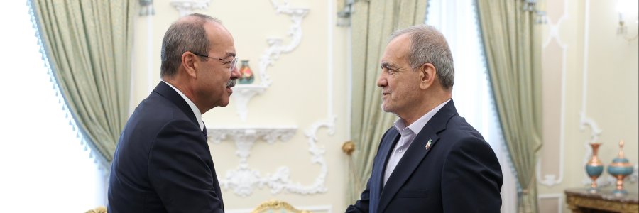 دیدار نخست وزیر ازبکستان با رئیس جمهور