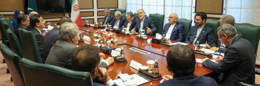 دیدار روسای مجلس سنا و ملی پاکستان با رئیس جمهور