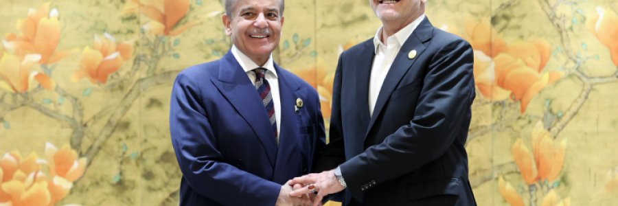 دیدار نخست وزیر پاکستان با رئیس جمهور