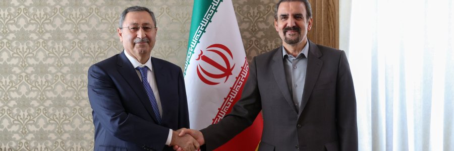 دیدار نماینده رئیس جمهوری آذربایجان در امور ویژه با مشاور سیاسی رئیس جمهور