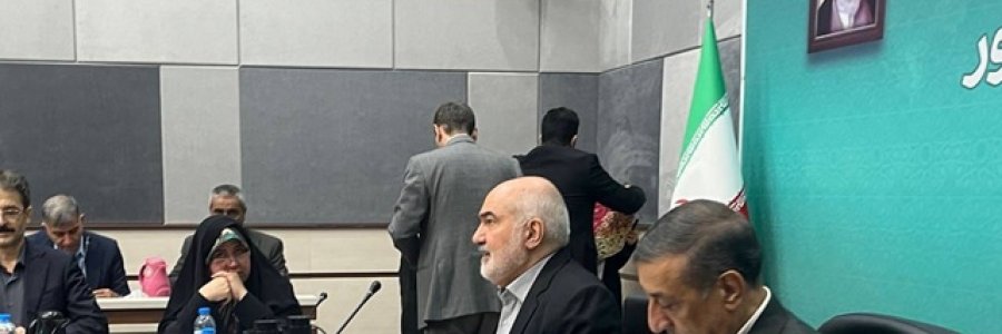 دولت باید کوچک شود و میدان را به بخش خصوصی بسپارد