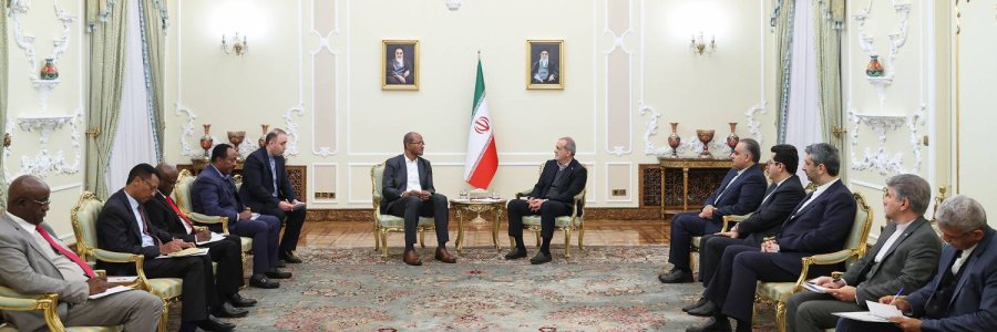 دیدار رئیس مجلس نمایندگان اتیوپی با رئیس جمهور