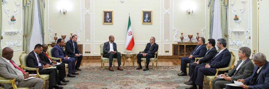 دیدار رئیس مجلس نمایندگان اتیوپی با رئیس جمهور