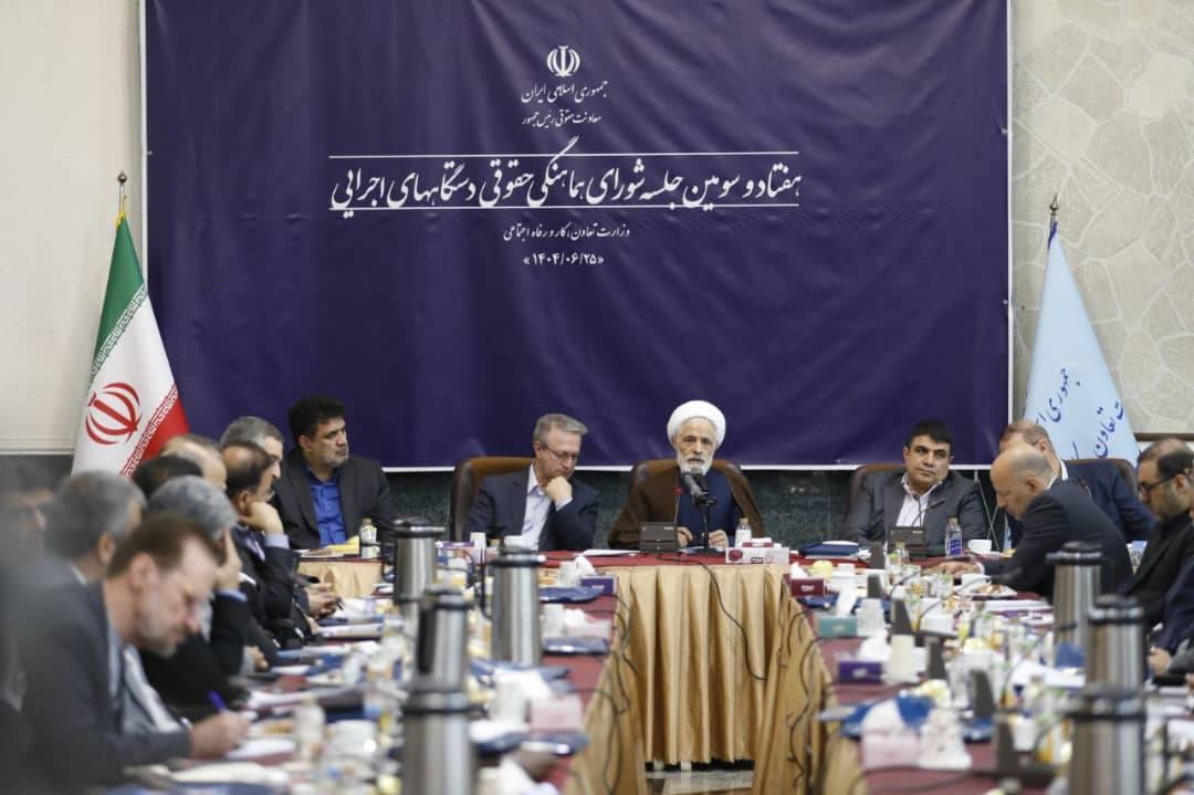 انصاری: 217 آیین‌نامه تدوین و 160 مورد آن طی یکسال اخیر به تصویب دولت رسید/ با همکاری دستگاه‌های مختلف، مستندسازی دقیقی از خسارات جنگ 12 روزه انجام شد
